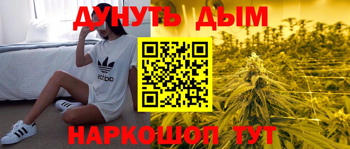 Каннабис сатива Осинники